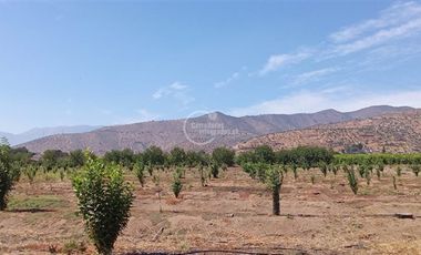 Agrícola en Venta en Sector Challaco