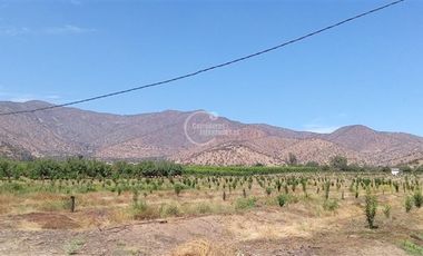 Agrícola en Venta en Sector Challaco