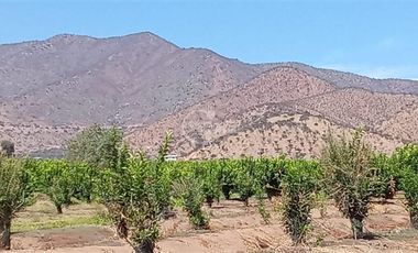 Agrícola en Venta en Sector Challaco