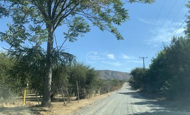 Agrícola en Venta en Sector Challaco