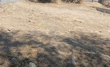 Sitio en Venta en Oidor Rivera.
