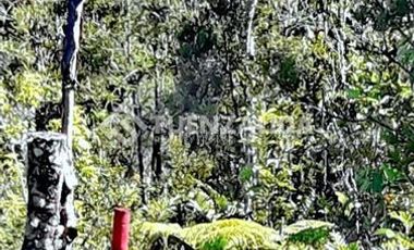 Parcela en Venta en Cercana a a la tienda nachostone