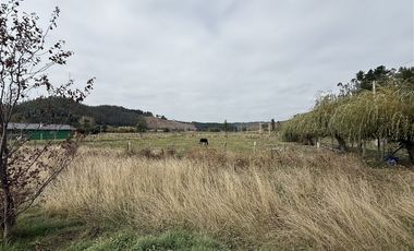 Parcela en Venta en Fundo Miramar, Arauco