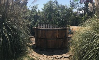 Local Comercial en Venta en Lonquen Sur - Oliveto