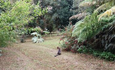 Casa en Venta en Las Quemas, Osorno