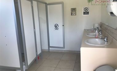 Local Comercial en Arriendo en Lonquen Sur - Oliveto