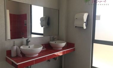 Local Comercial en Arriendo en Lonquen Sur - Oliveto