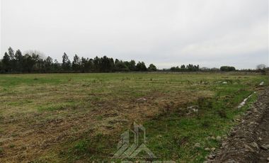 Parcela en Venta en Panguilemito Parcela 19, Hijuela N° 8