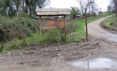 Parcela en Venta en Panguilemito Parcela 19, Hijuela N° 8
