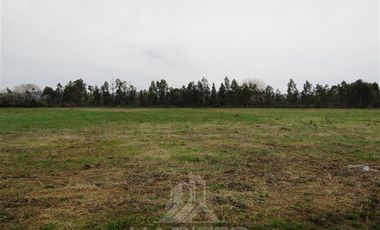 Parcela en Venta en Panguilemito Parcela 19, Hijuela N° 8