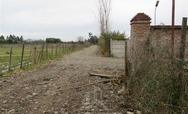 Parcela en Venta en Panguilemito Parcela 19, Hijuela N° 8