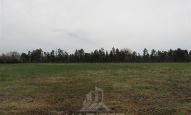 Parcela en Venta en Panguilemito Parcela 19, Hijuela N° 8