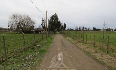 Parcela en Venta en Panguilemito Parcela 19, Hijuela N° 8