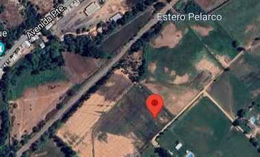 Parcela en Venta en Panguilemito Parcela 19, Hijuela N° 8