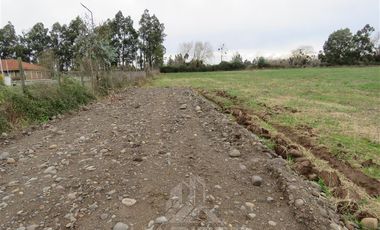 Parcela en Venta en Panguilemito Parcela 19, Hijuela N° 8