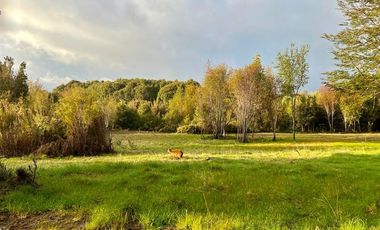 Parcela en Venta en Parque Tepuhueico