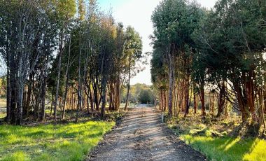 Parcela en Venta en Parque Tepuhueico