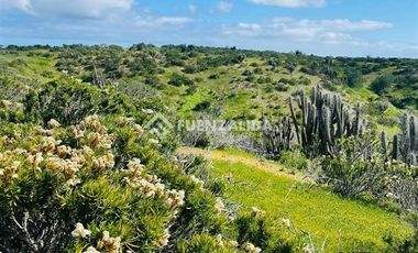 Sitio en Venta en Cerca de Puerto Aldea