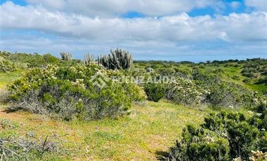 Sitio en Venta en Cerca de Puerto Aldea