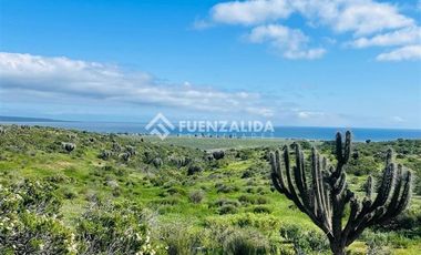 Sitio en Venta en Cerca de Puerto Aldea