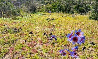 Sitio en Venta en Cerca de Puerto Aldea