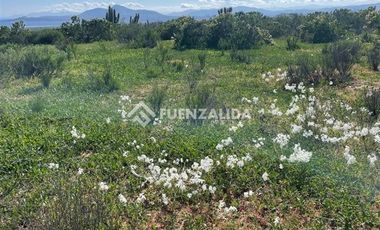 Sitio en Venta en Cerca de Puerto Aldea