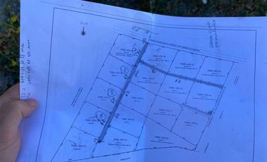 Terreno Construccion  en Venta en Santa Amalia, Chancón