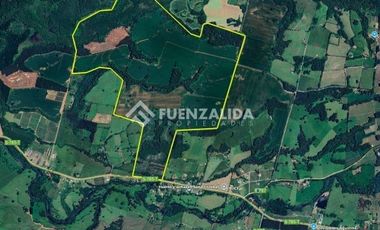 Agrícola en Venta en 5 kms de Loncoche hacia Calafquen