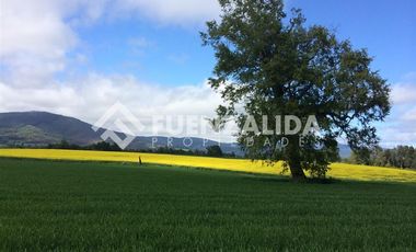 Agrícola en Venta en 5 kms de Loncoche hacia Calafquen