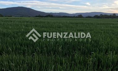 Agrícola en Venta en 5 kms de Loncoche hacia Calafquen