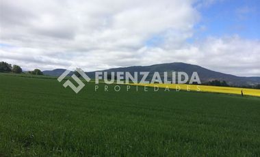 Agrícola en Venta en 5 kms de Loncoche hacia Calafquen