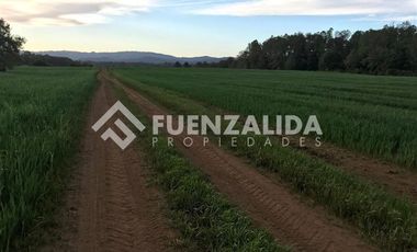 Agrícola en Venta en 5 kms de Loncoche hacia Calafquen