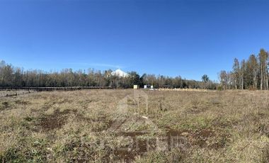 Sitio en Venta en SITIO OPORTUNIDAD LONCOTRARO