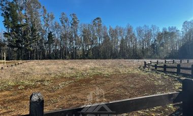 Sitio en Venta en SITIO OPORTUNIDAD LONCOTRARO