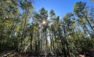 Sitio en Venta en SITIO OPORTUNIDAD LONCOTRARO