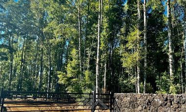 Sitio en Venta en SITIO OPORTUNIDAD LONCOTRARO