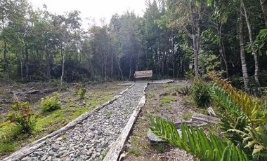 Parcela en Venta en Parque Lindo