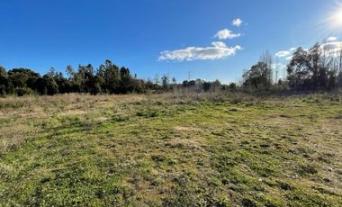 Agrícola en Venta en Salida Sur de Valdivia