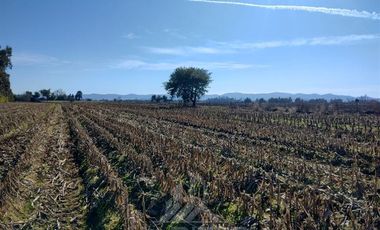 Parcela en Venta en Callejon 1 norte