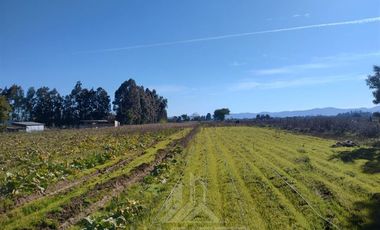 Parcela en Venta en Callejon 1 norte