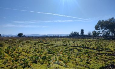 Parcela en Venta en Callejon 1 norte