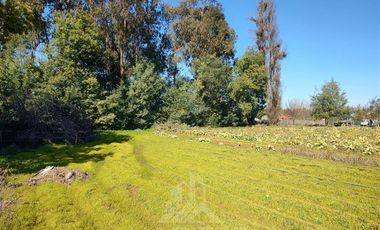 Parcela en Venta en Callejon 1 norte