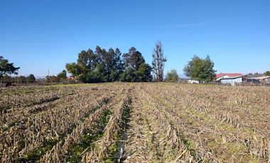 Parcela en Venta en Callejon 1 norte