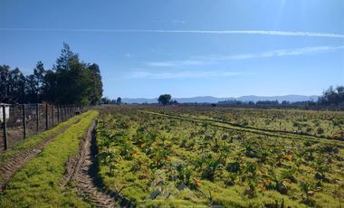 Parcela en Venta en Callejon 1 norte