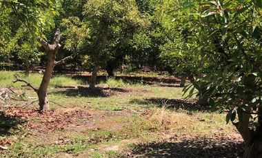 Parcela en Venta en Camino Lonquen - Camino el Oliveto