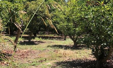 Parcela en Venta en Camino Lonquen - Camino el Oliveto