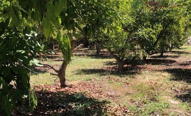 Parcela en Venta en Camino Lonquen - Camino el Oliveto