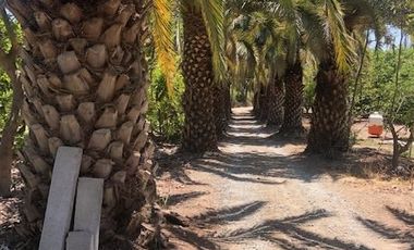 Parcela en Venta en Camino Lonquen - Camino el Oliveto