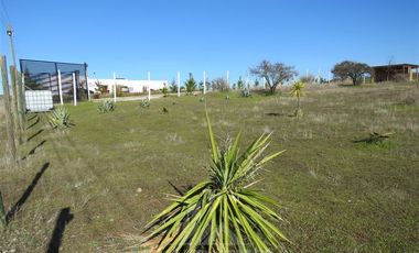 Parcela en Venta en Lote 4, sector Las Huachas