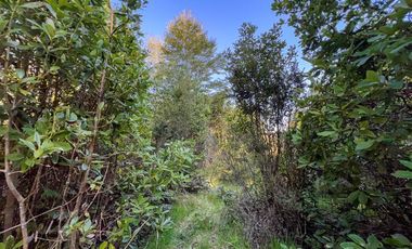 Sitio en Venta en Terreno Futrono Orilla al Estero (Cerco perimetral gratis)